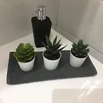 Starhomes Double Lux 7 오울루